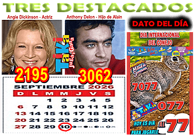 Gane Al Toke